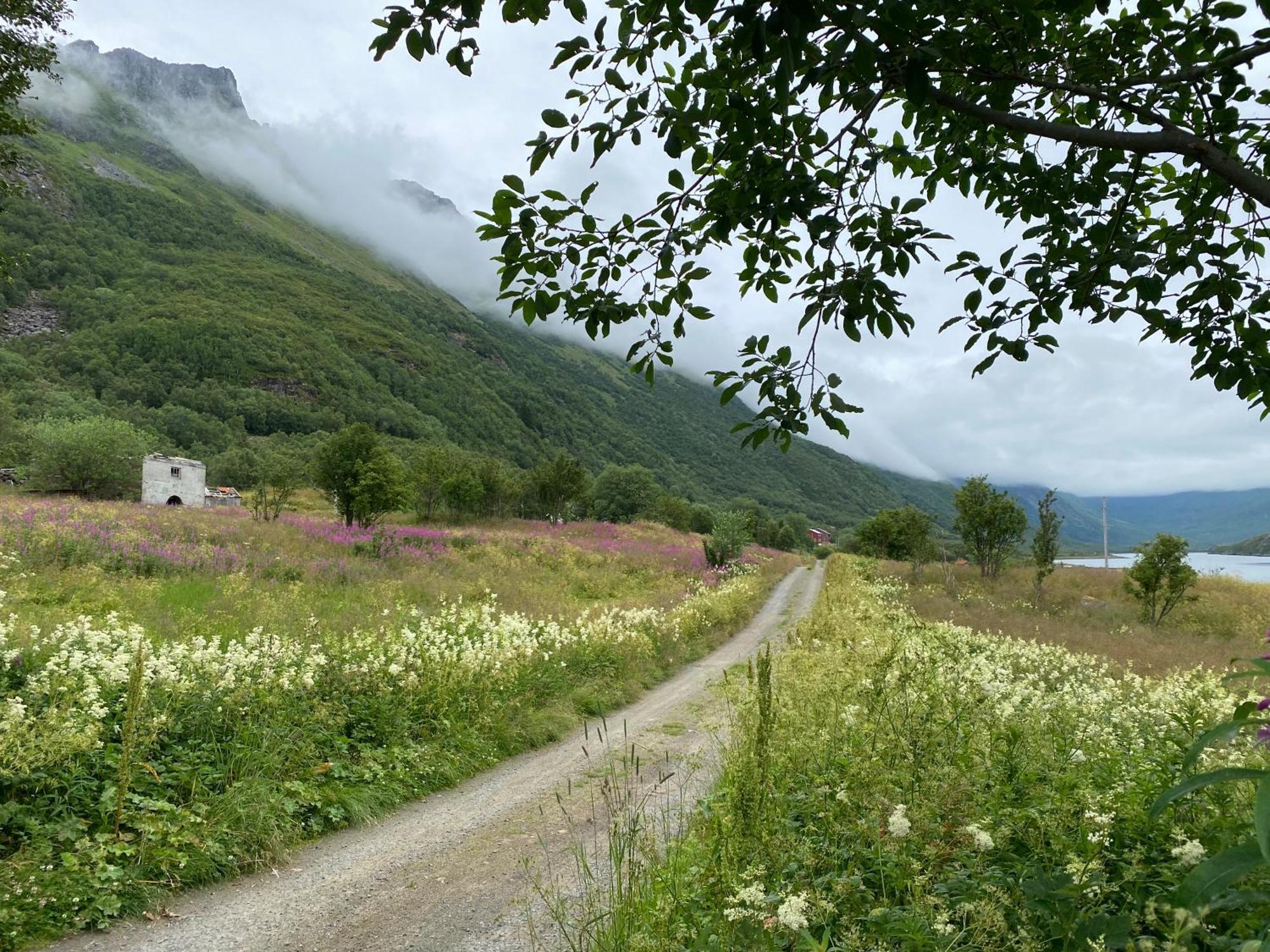 Вилла Wilderness House Urda Экстерьер фото